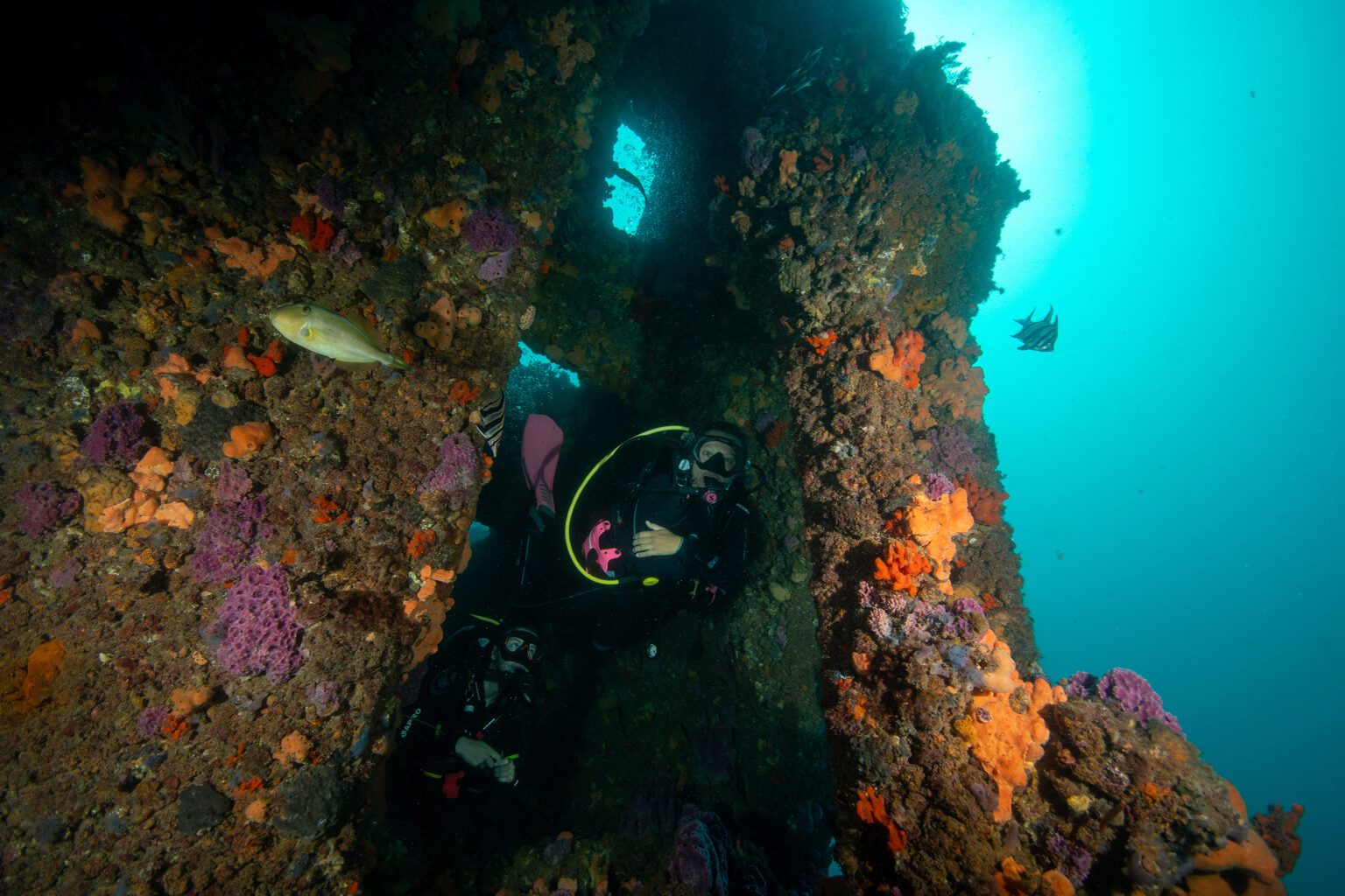Wreck Diver Adelaide Scuba
